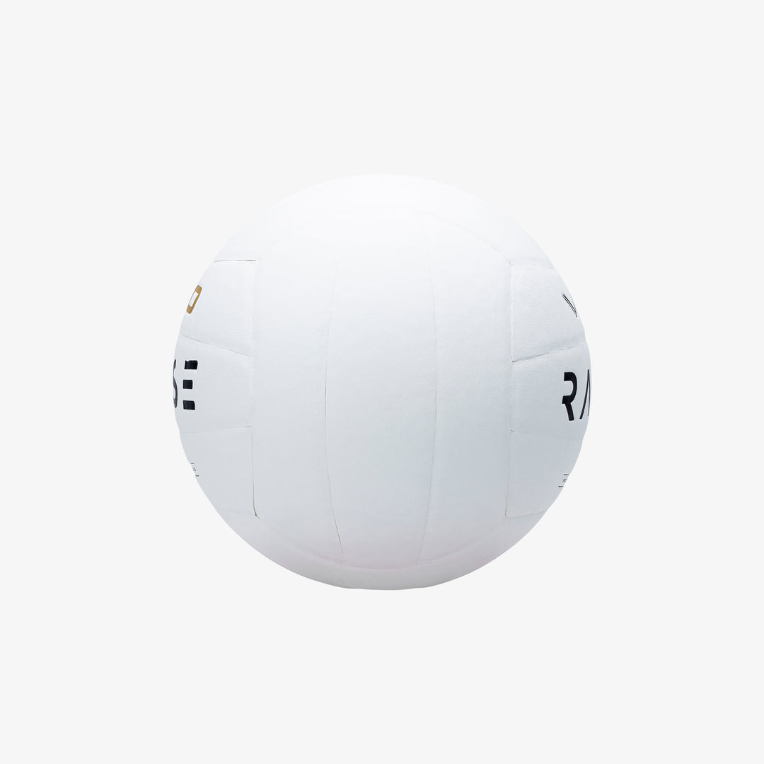 Pelota de Voleibol - VL10 No.5